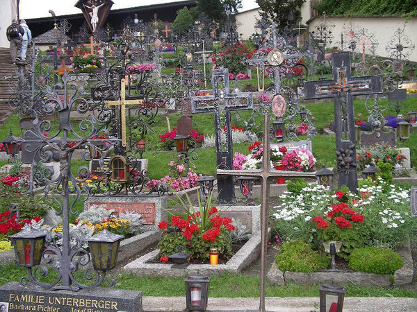 тюльпаны на могилах.jpg