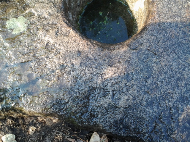 20150905_155233.jpg